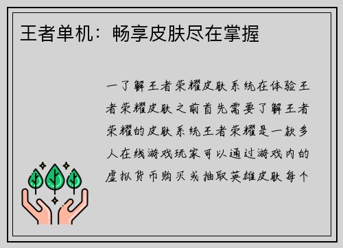 王者单机：畅享皮肤尽在掌握
